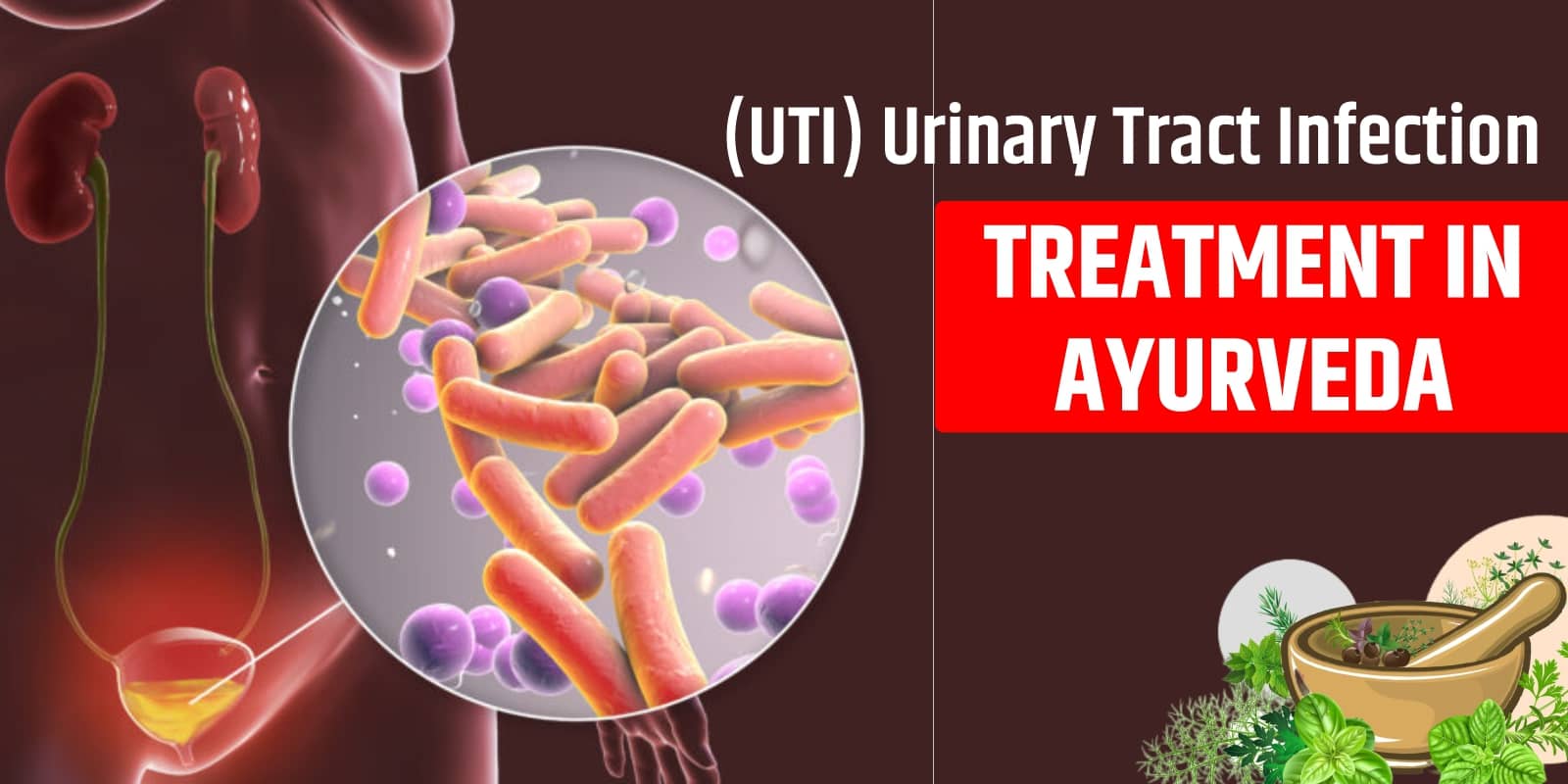 Urinary Tract Infection Treatment in Ayurveda